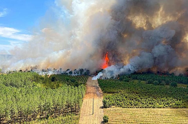 INCENDIES - Un nouveau plan de lutte dans les Landes